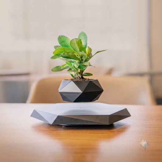 Magnetic Levitating Plant Pot – Floating Bonsai Planter